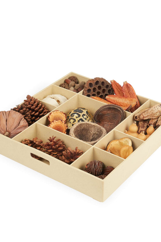 Nature's Geometry Loose Parts STEM Kit