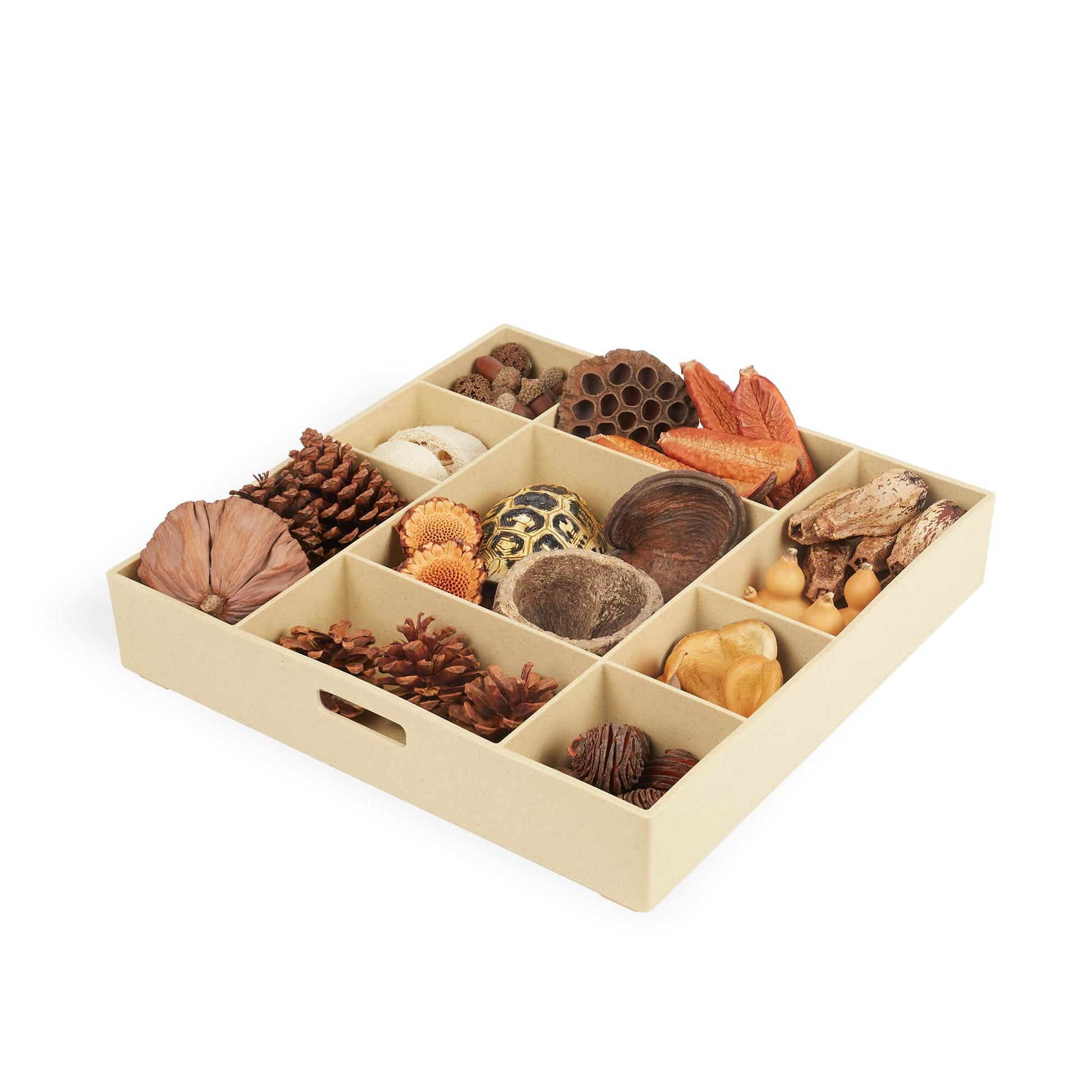 Nature's Geometry Loose Parts STEM Kit