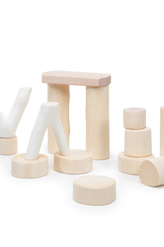Toddler Branch Blocks - 15 pc. set