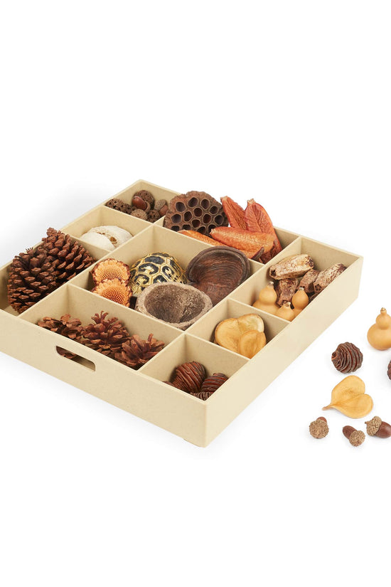 Nature's Geometry Loose Parts STEM Kit