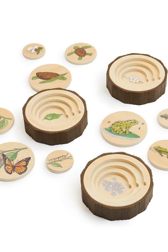Lifecycle Puzzles - Set of 3