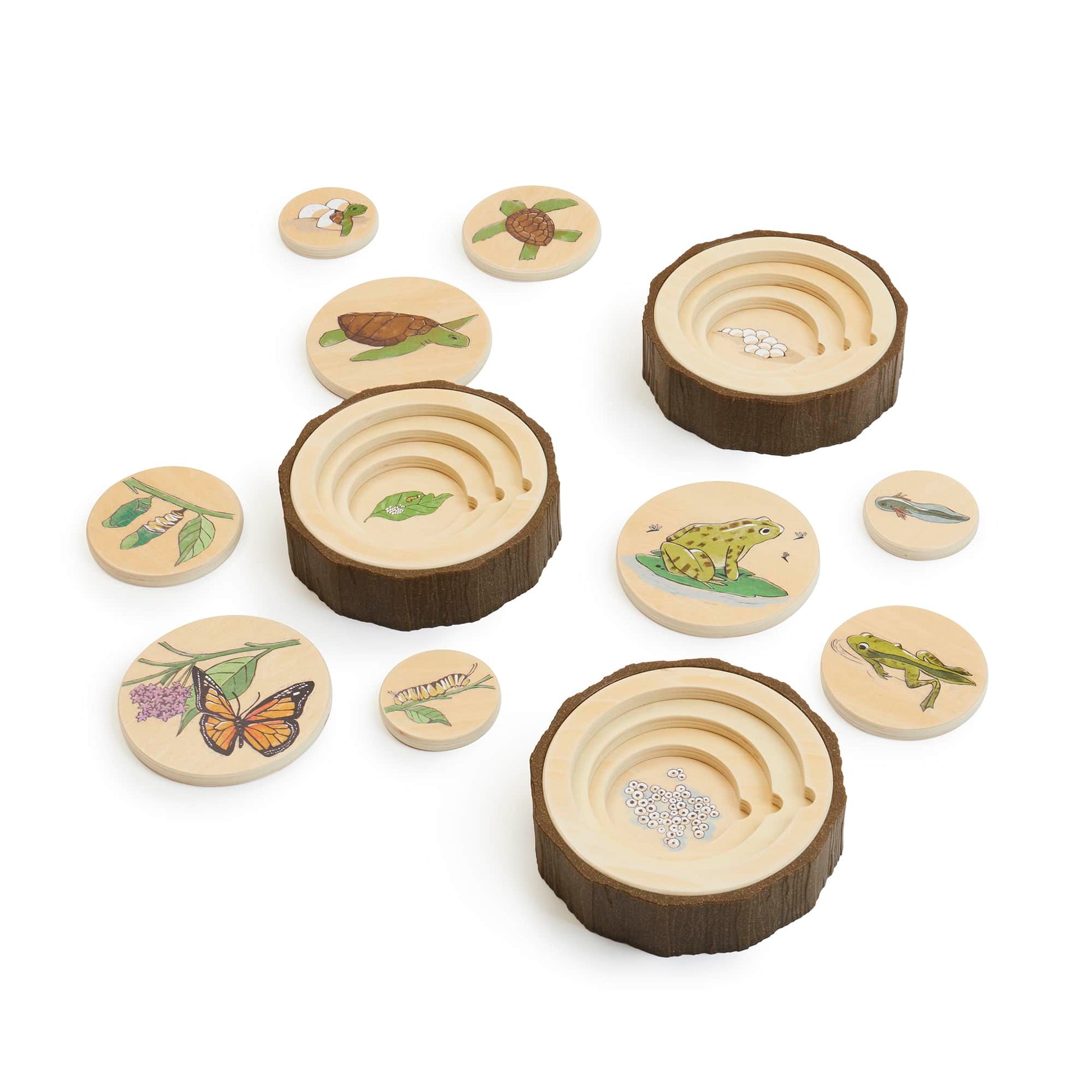 Lifecycle Puzzles - Set of 3