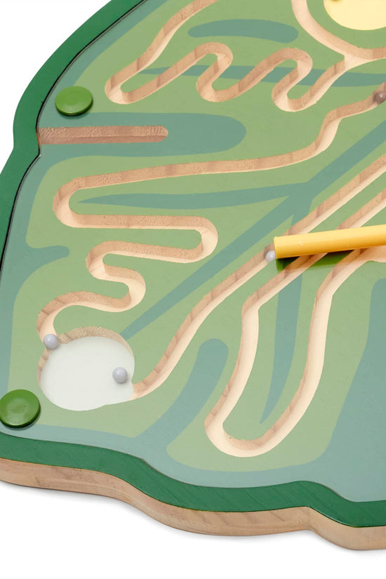 Nature's Paths Magnetic Leaf Mazes: Set of 3