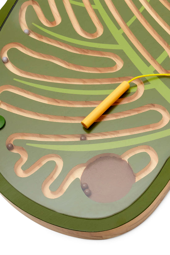 Nature's Paths Magnetic Leaf Mazes: Set of 3