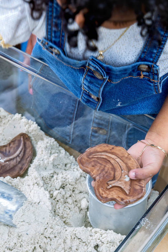 Magnetic Matching Fossil Stones - Set of 6