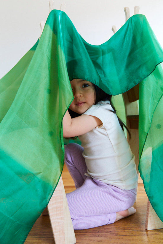 Sarah's Silks Fort Kit