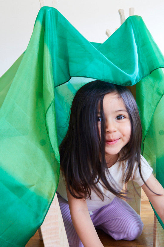 Sarah's Silks Fort Kit