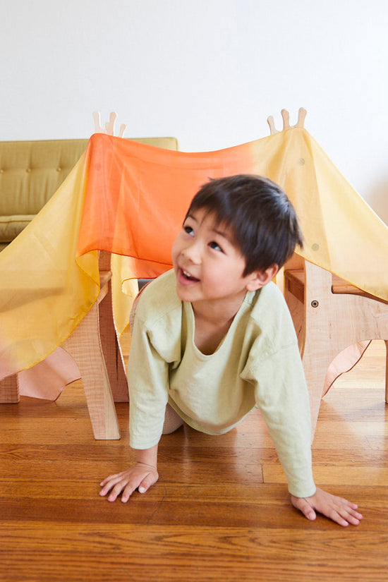 Sarah's Silks Fort Kit