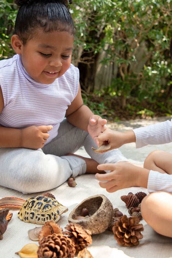 Nature's Geometry Loose Parts STEM Kit
