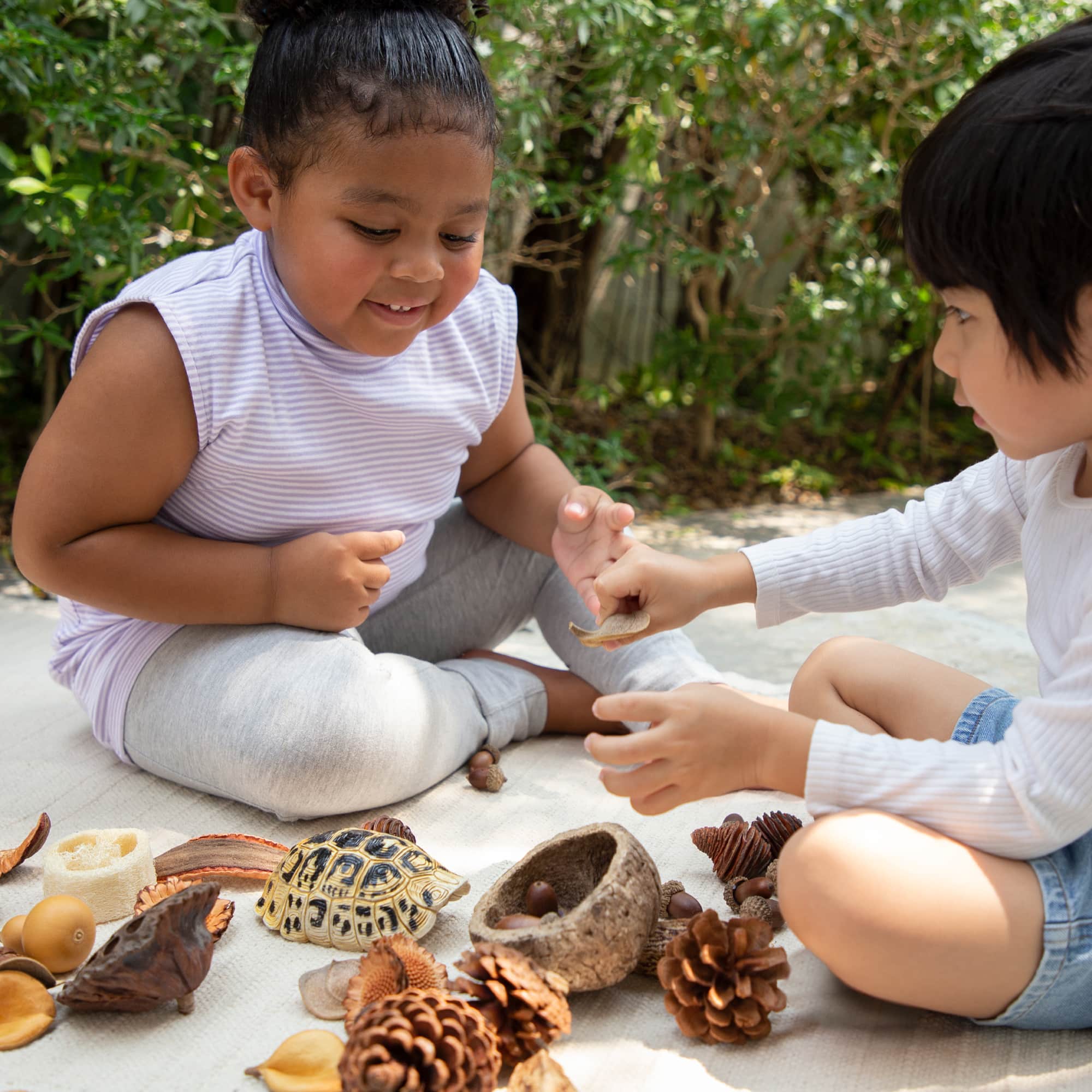 Nature's Geometry Loose Parts STEM Kit