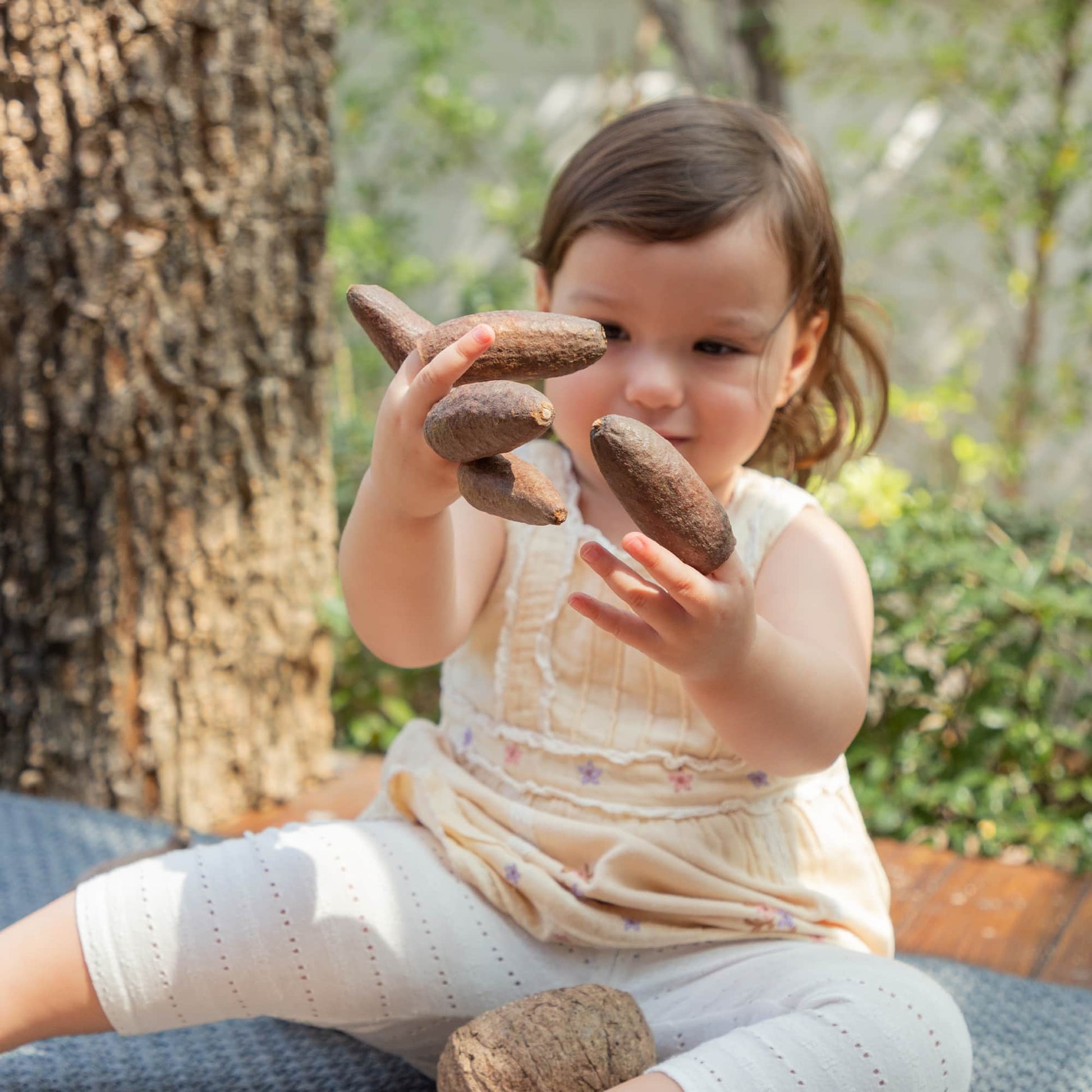 Nature's Geometry: Toddler Loose Parts STEM Kit