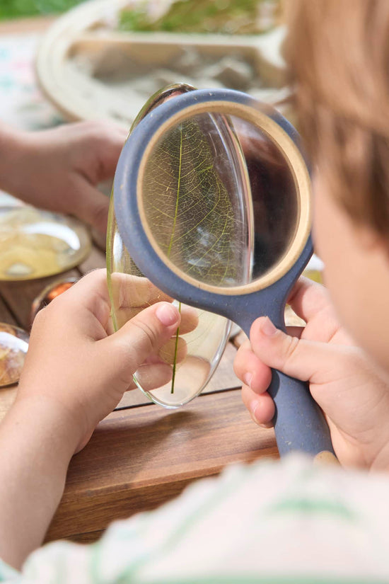 Acrylic Nature's Cross Sections