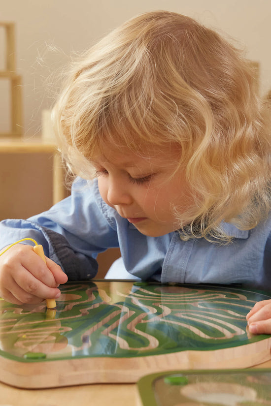Nature's Paths Magnetic Leaf Mazes: Set of 3