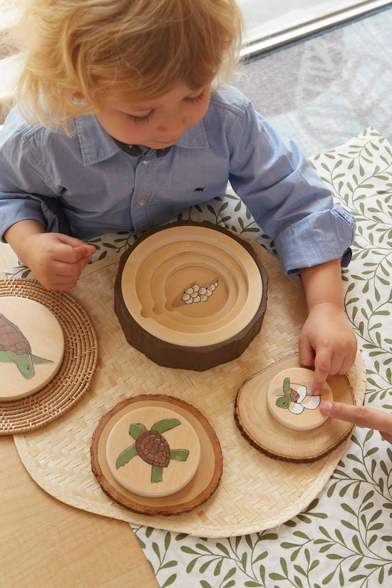 Lifecycle Puzzles - Set of 3