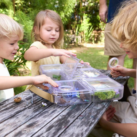 Traveling Treasures Discovery Lab