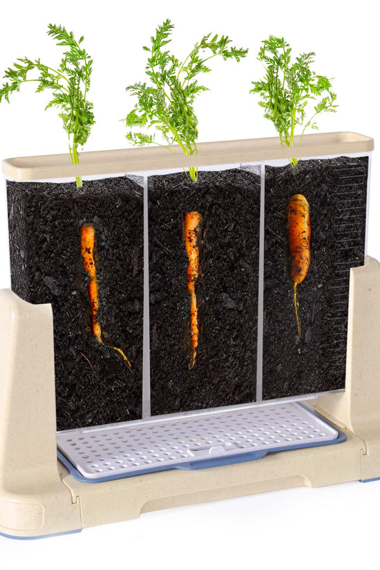 Explore and Discover 3 Section Root View Planter
