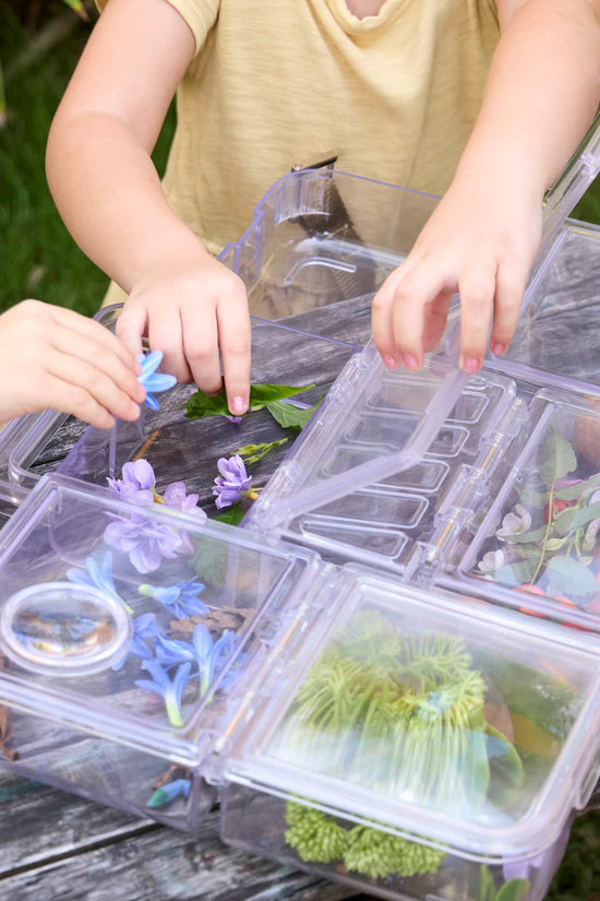Traveling Treasures Discovery Lab