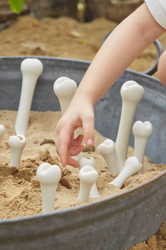 Big Bones Set - 20 pieces