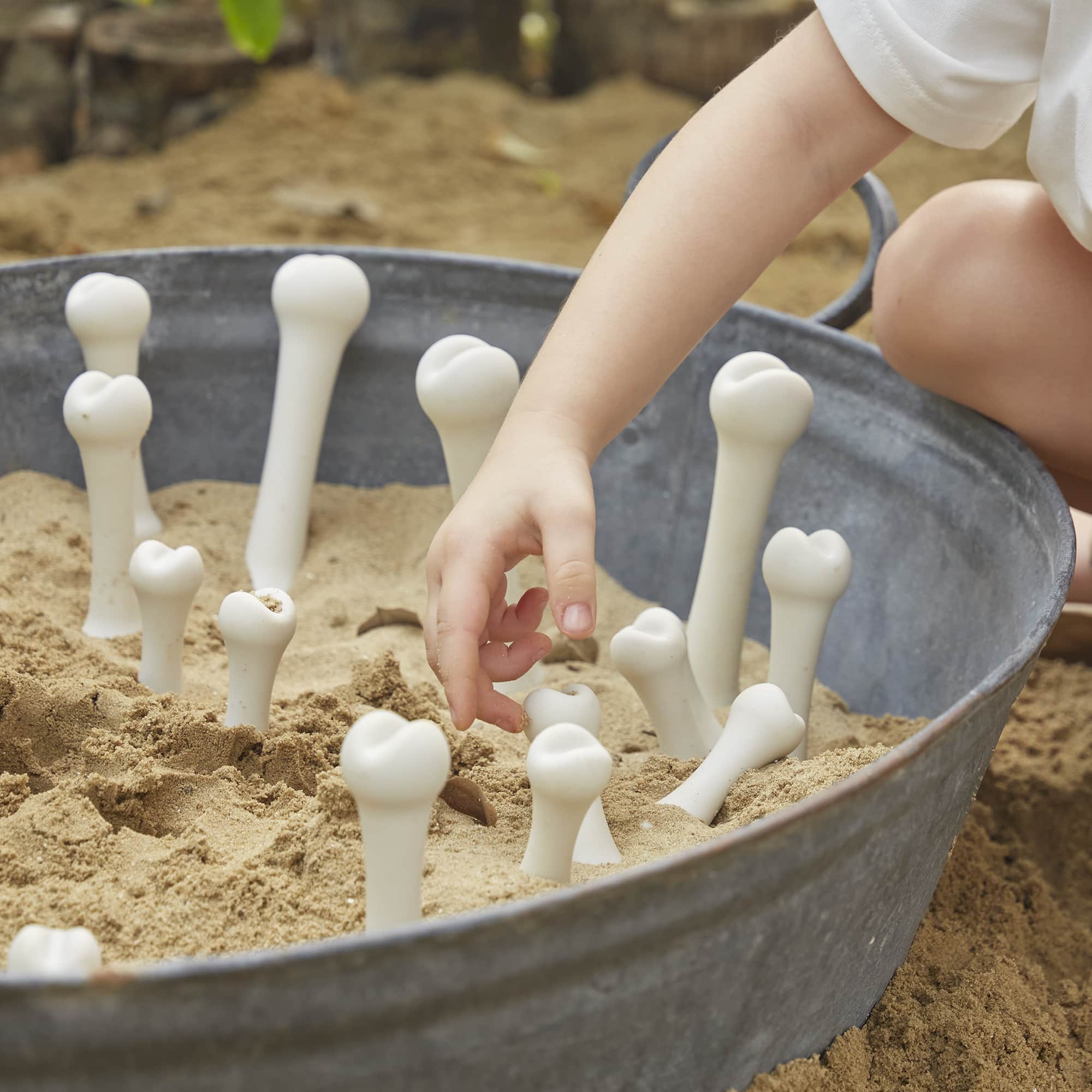 Big Bones Set - 20 pieces