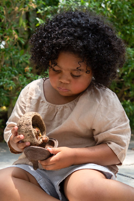 Nature's Geometry Loose Parts STEM Kit