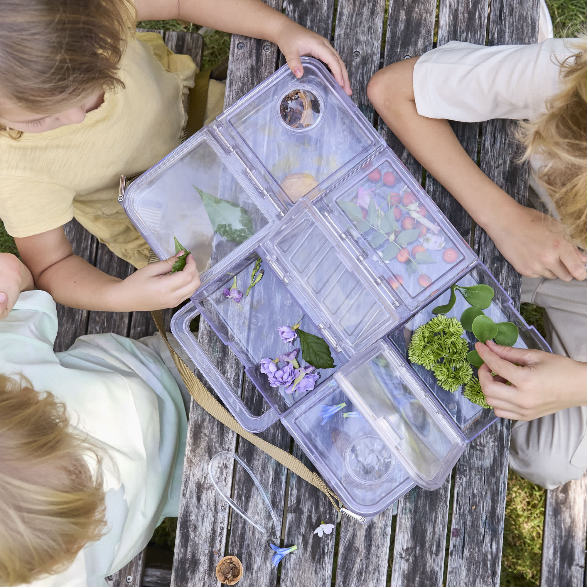 Traveling Treasures Discovery Lab