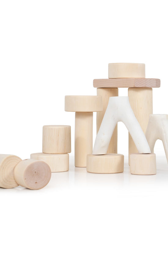Toddler Branch Blocks - 15 pc. set