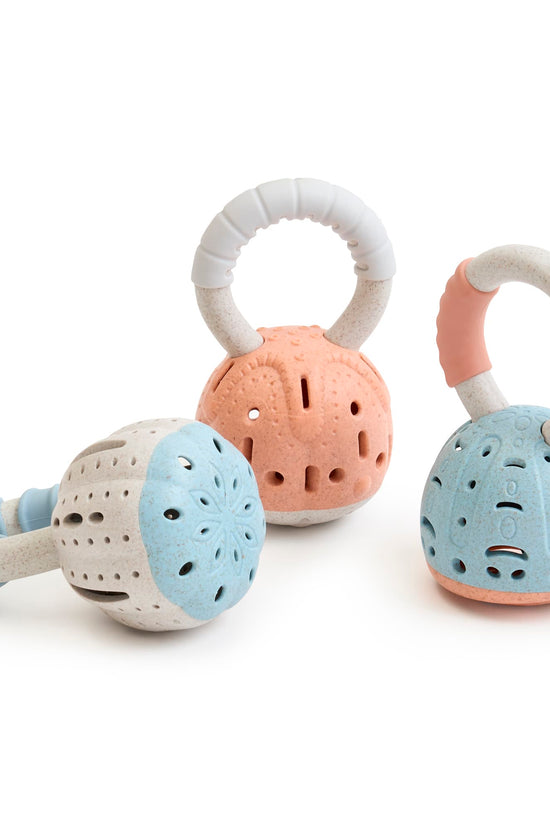 Shell Bell Shakers