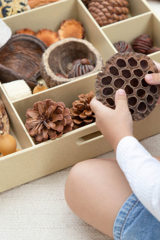 Nature's Geometry Loose Parts STEM Kit
