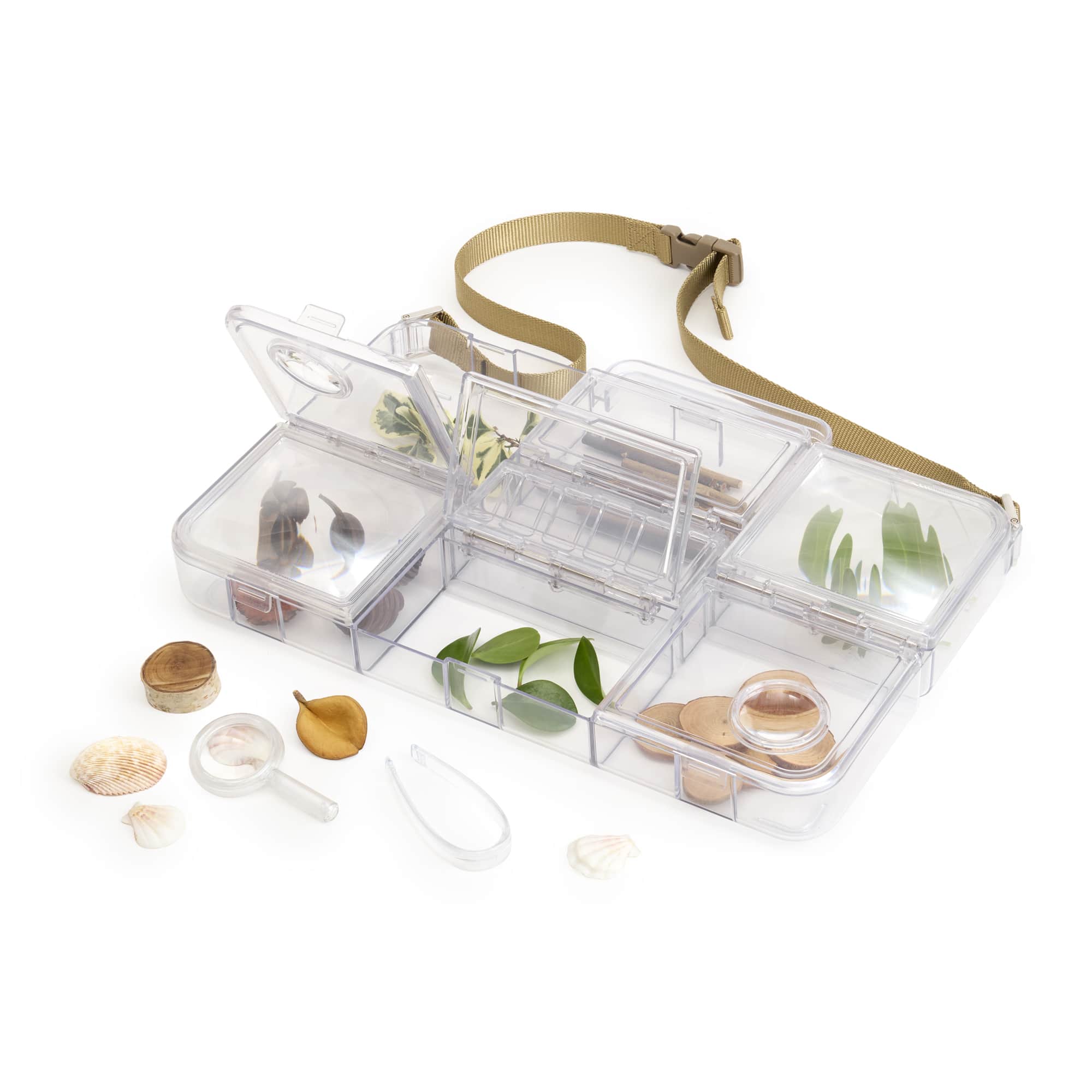 Traveling Treasures Discovery Lab