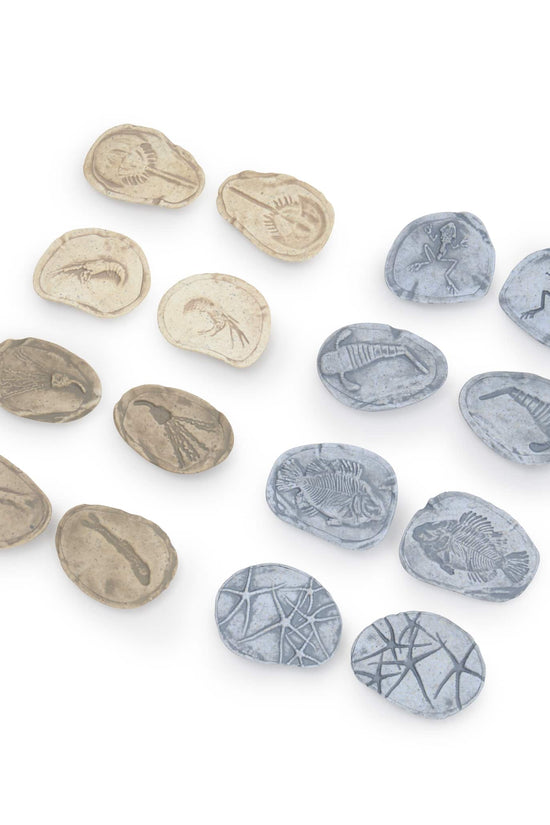 Magnetic Matching Fossil Stones: Aquatic Life - Set of 8