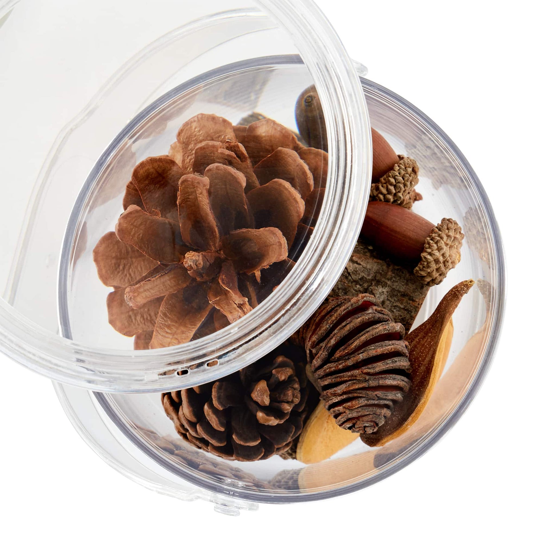Carry and Discover Magnification Containers - Set of 2