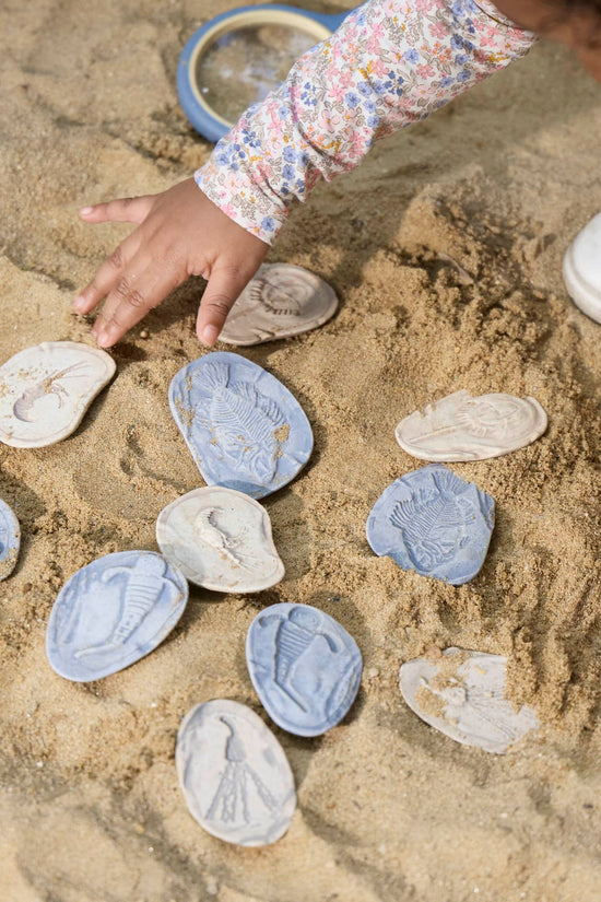 Magnetic Matching Fossil Stones: Aquatic Life - Set of 8