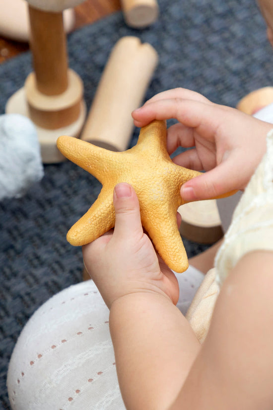 Nature's Geometry: Toddler Loose Parts STEM Kit