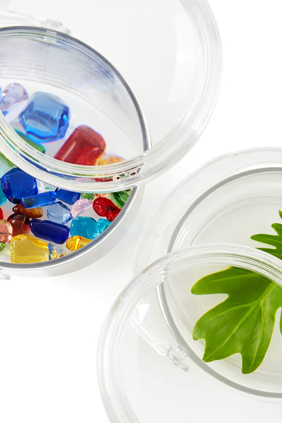 Carry and Discover Magnification Containers - Set of 2