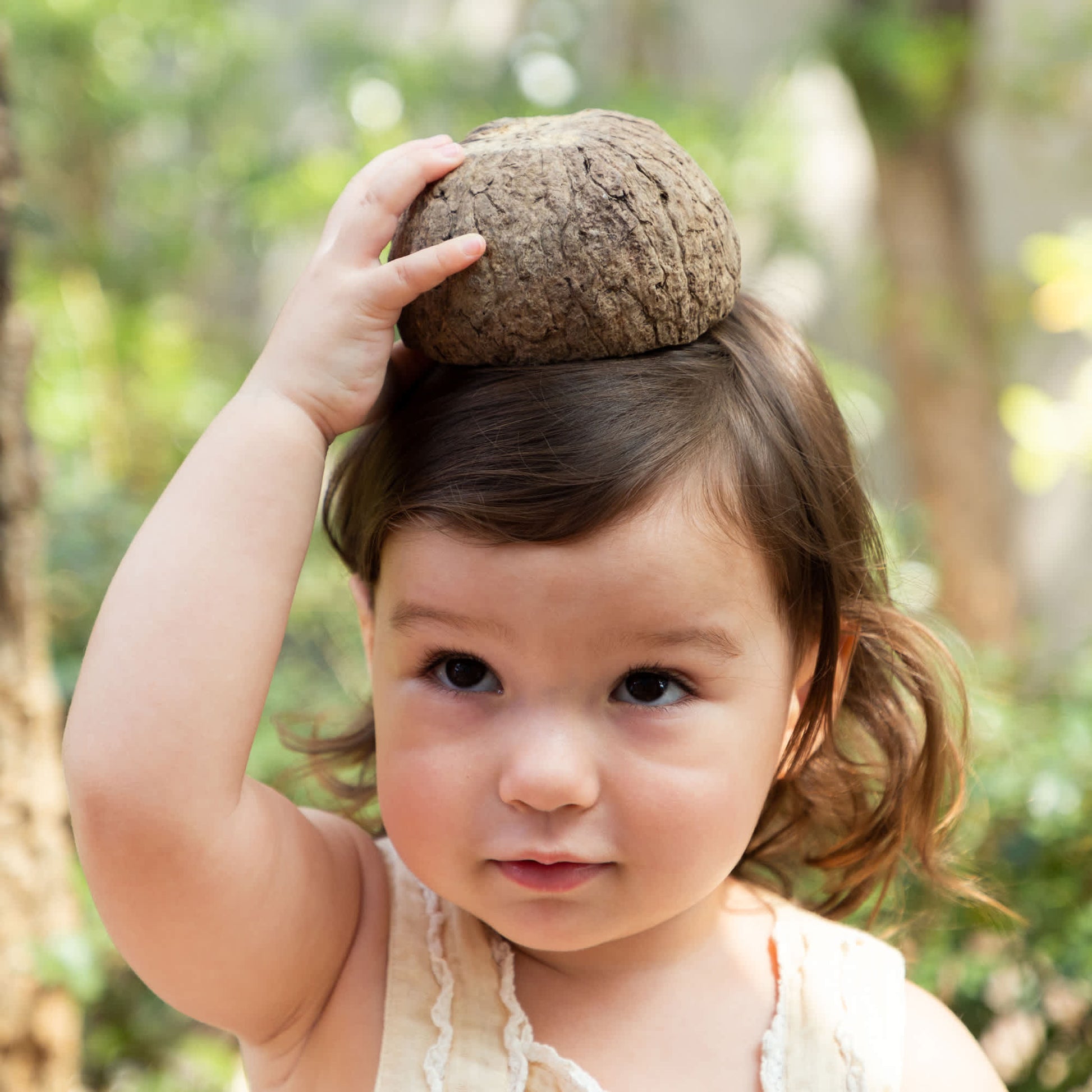 Nature's Geometry: Toddler Loose Parts STEM Kit