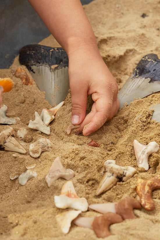 Super Shark Teeth Set - 40 pieces