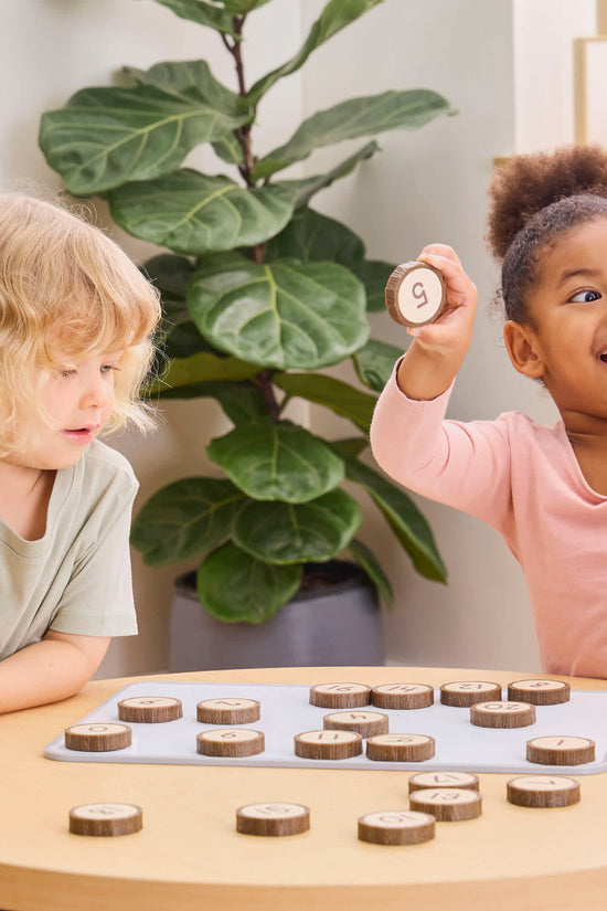 Magnetic Wood Cookie Counters