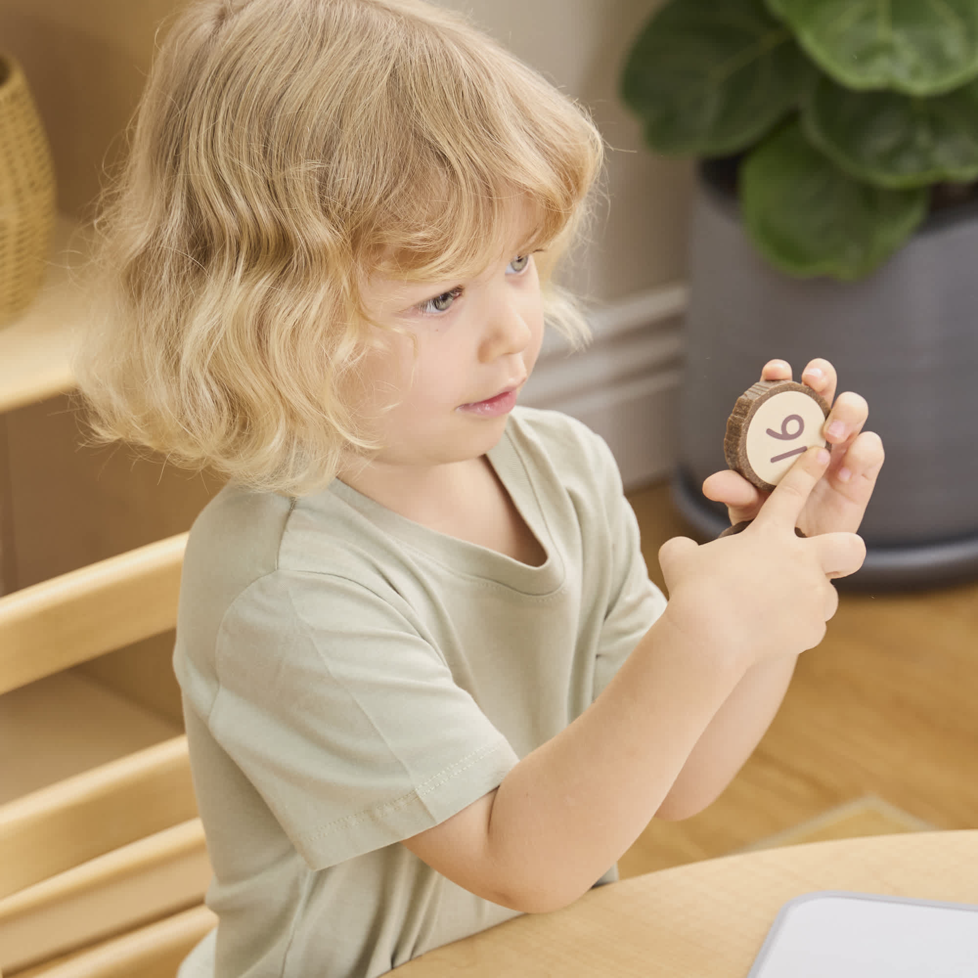 Magnetic Wood Cookie Counters