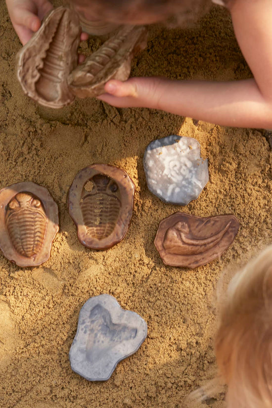 Magnetic Matching Fossil Stones - Set of 6