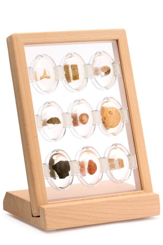 Specimen Stones