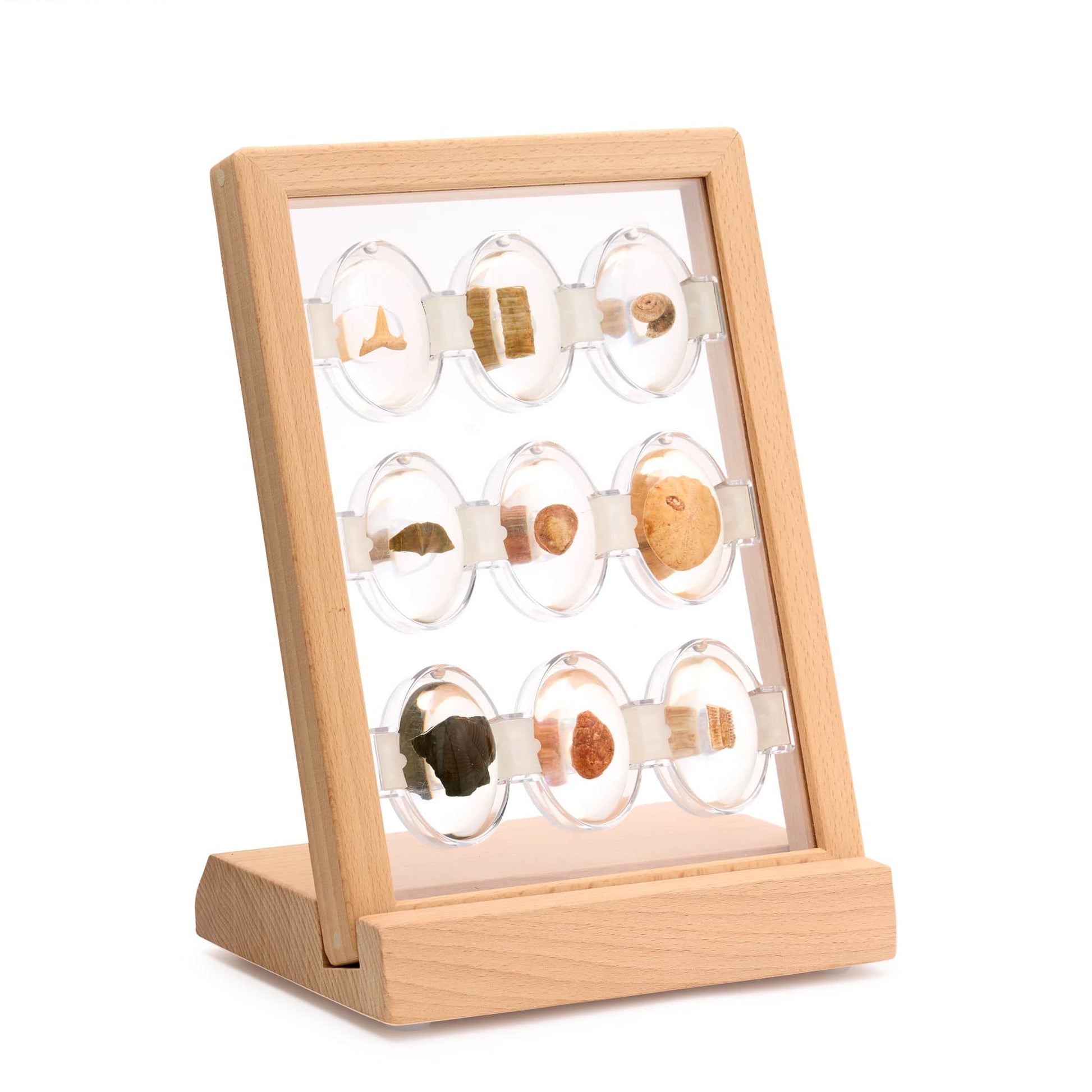 Specimen Stones