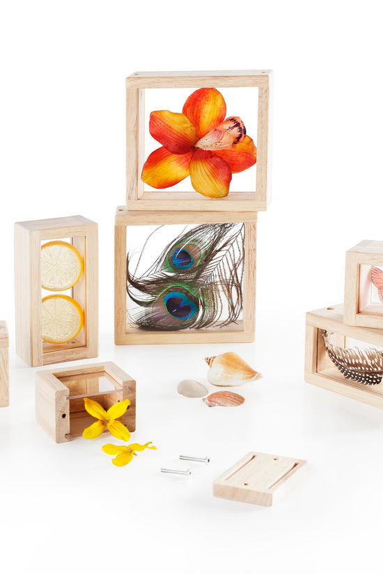 Treasure Blocks