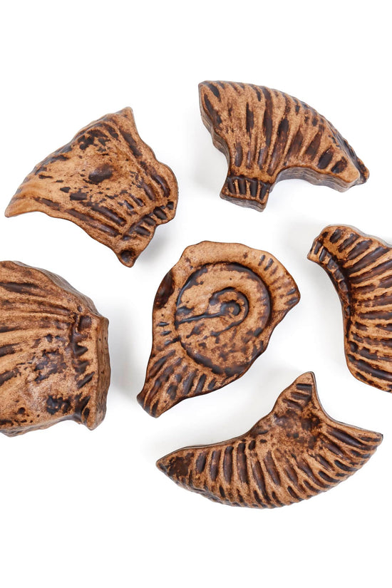 Magnetic Fossil 3D Puzzle