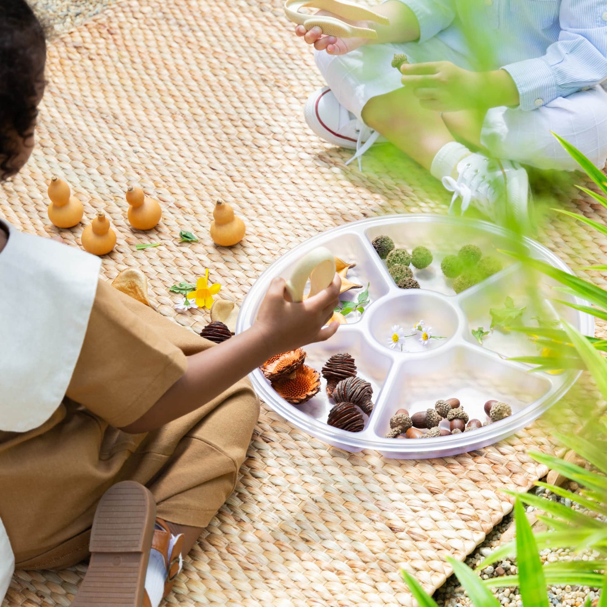 Loose Parts Sorting Trays