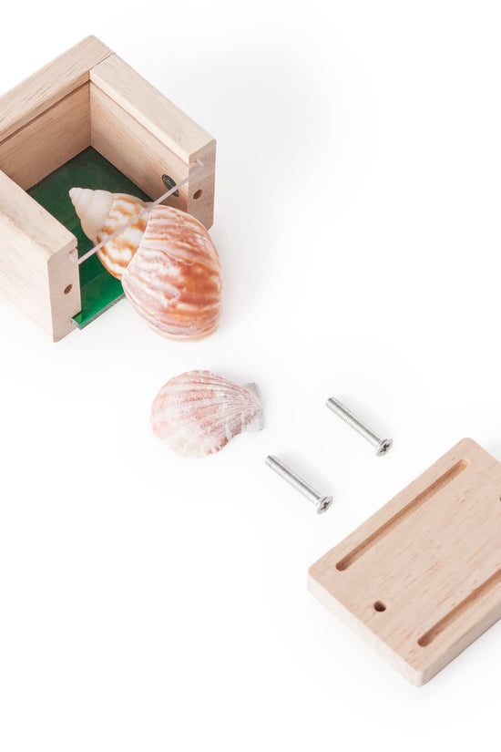 Treasure Blocks
