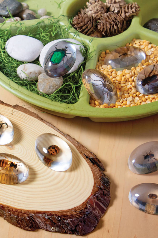 Specimen Stones