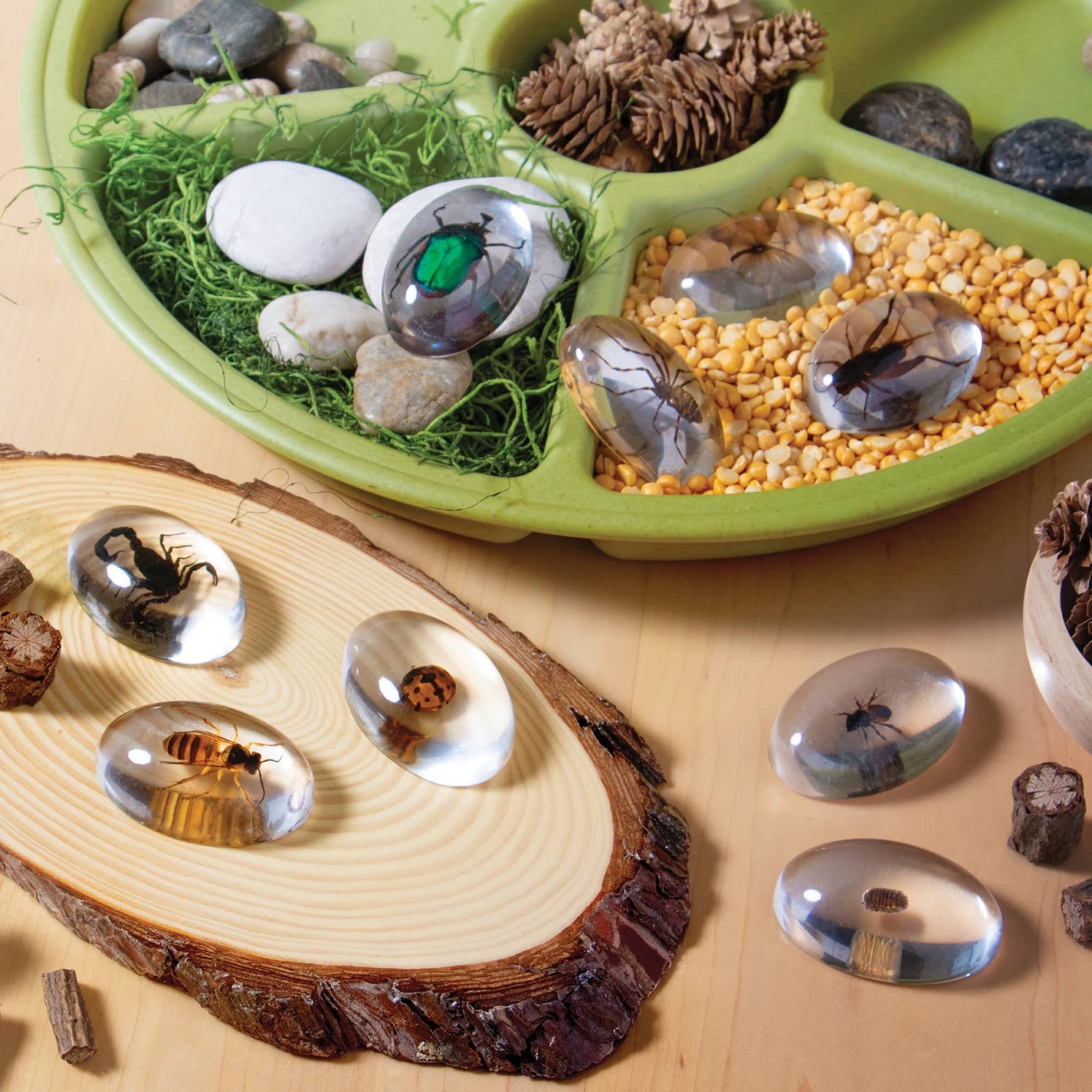 Specimen Stones