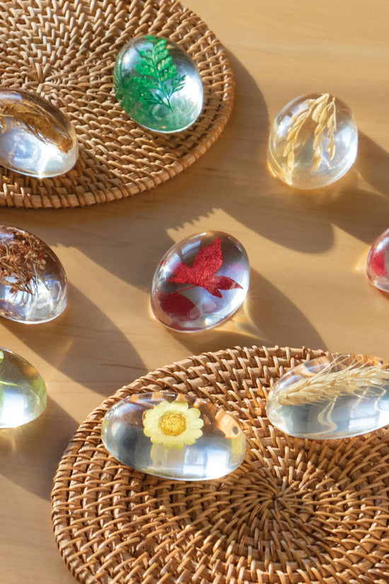 Specimen Stones
