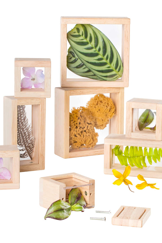 Treasure Blocks