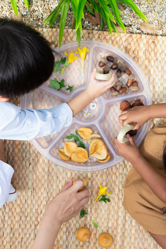 Loose Parts Sorting Trays